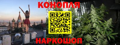 амф Донской