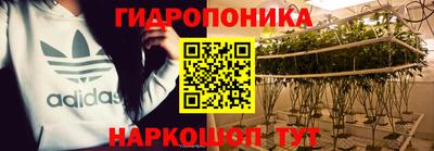 амф Донской