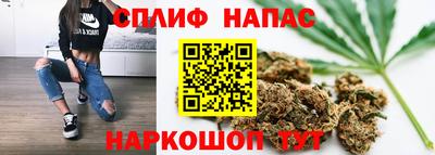 амф Донской