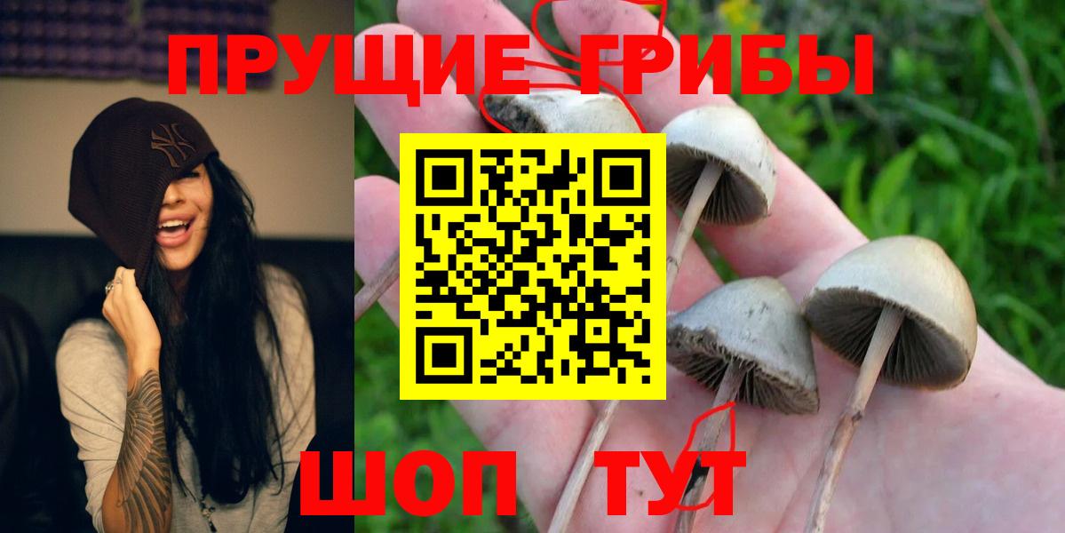 Галлюциногенные грибы мухоморы  Вход с VPN  Новосибирск  Галлюциногенные грибы ЛСД 